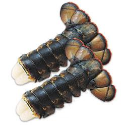 Click to read more about Raw Frozen Paturel Lobster Tails